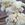 Achilea Preservada Blanca - Imagen 1