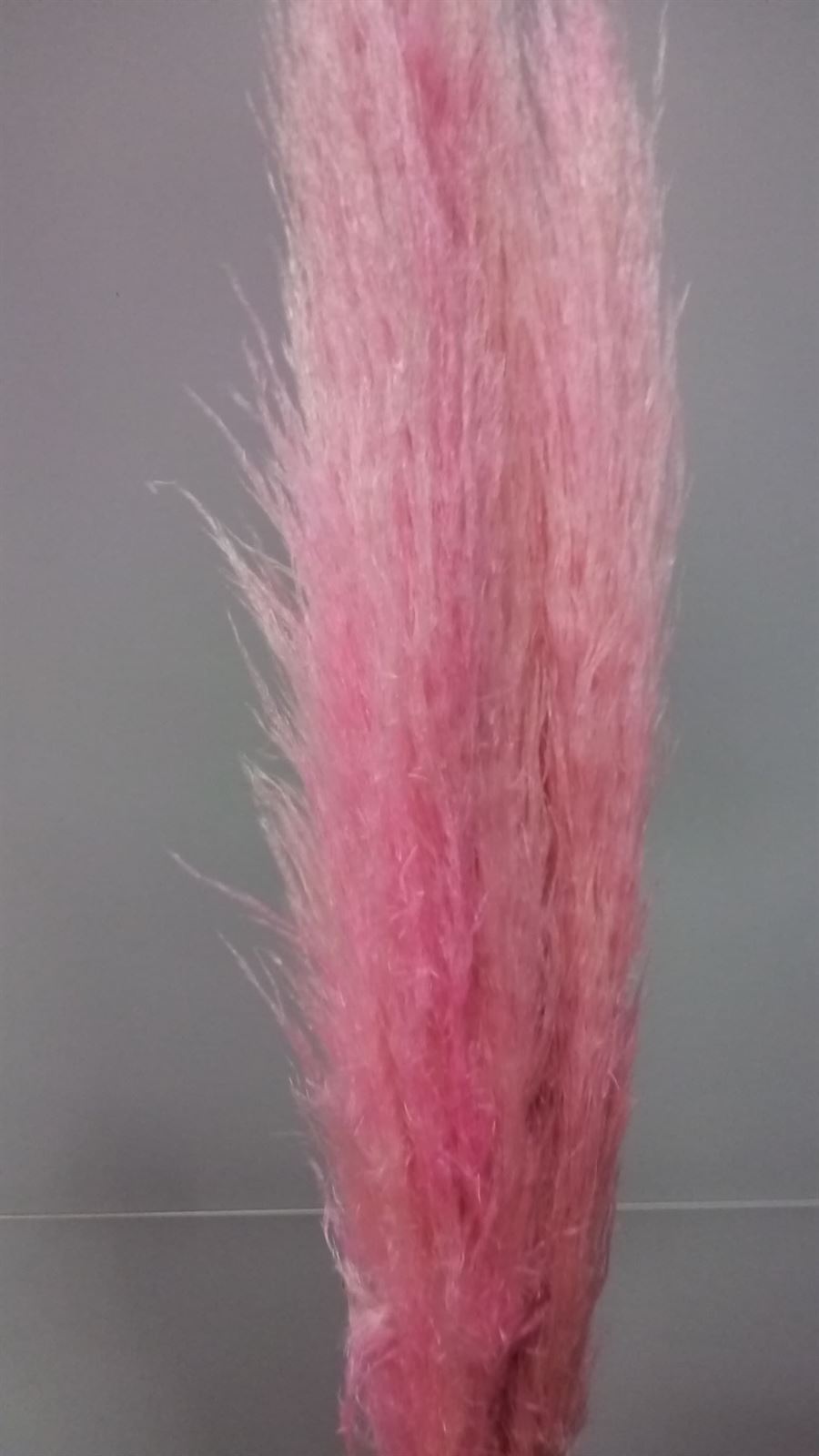 Cortaderia (Pampa) Rosa - Imagen 1