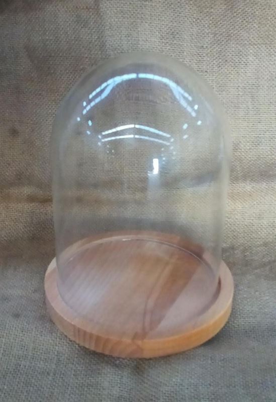 Cúpula Con Base De Madera 20cm x 10cm - Imagen 1