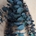 Eucalipto Cinerea Preservado - Imagen 1