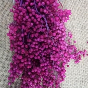 Falsa Pimienta Preservada Rosa - Imagen 1