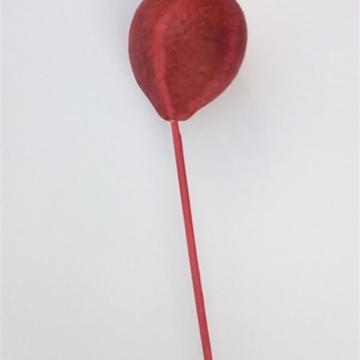 Picks De Madera Natural - Imagen 2